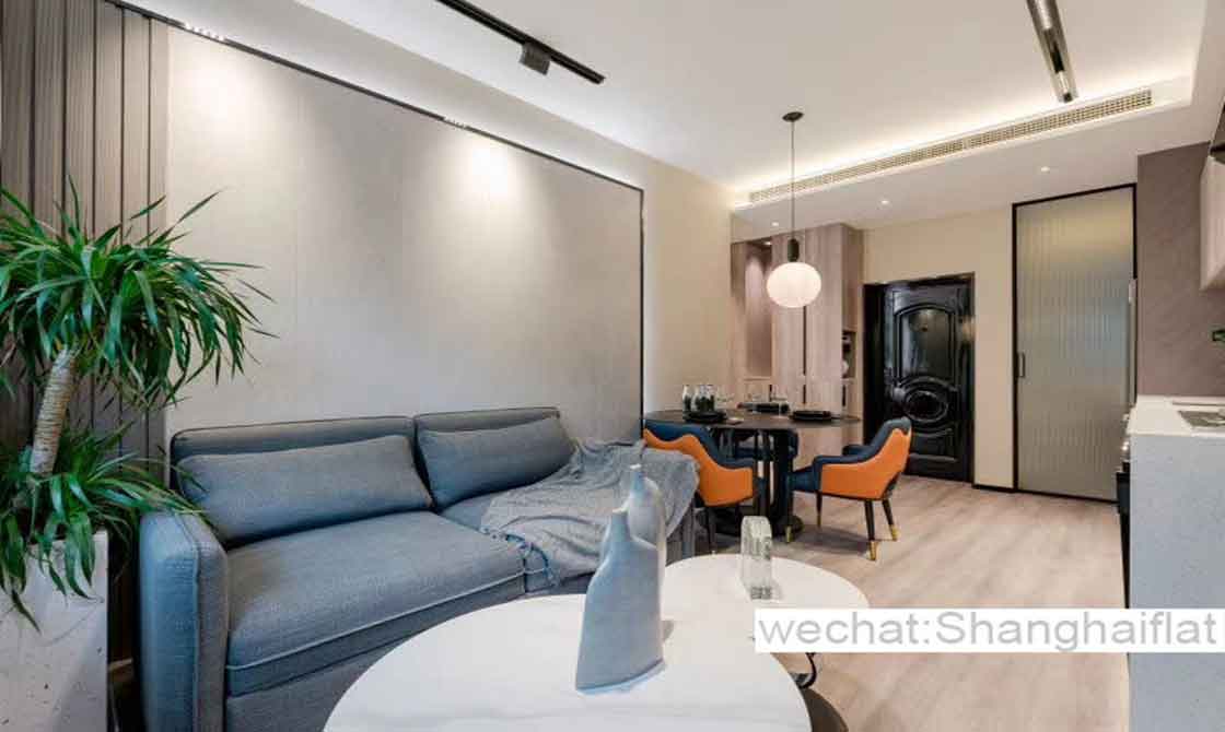 1+1br brand new apartment for lease at Ruijin rd/Tianzifang/Dapuqiao