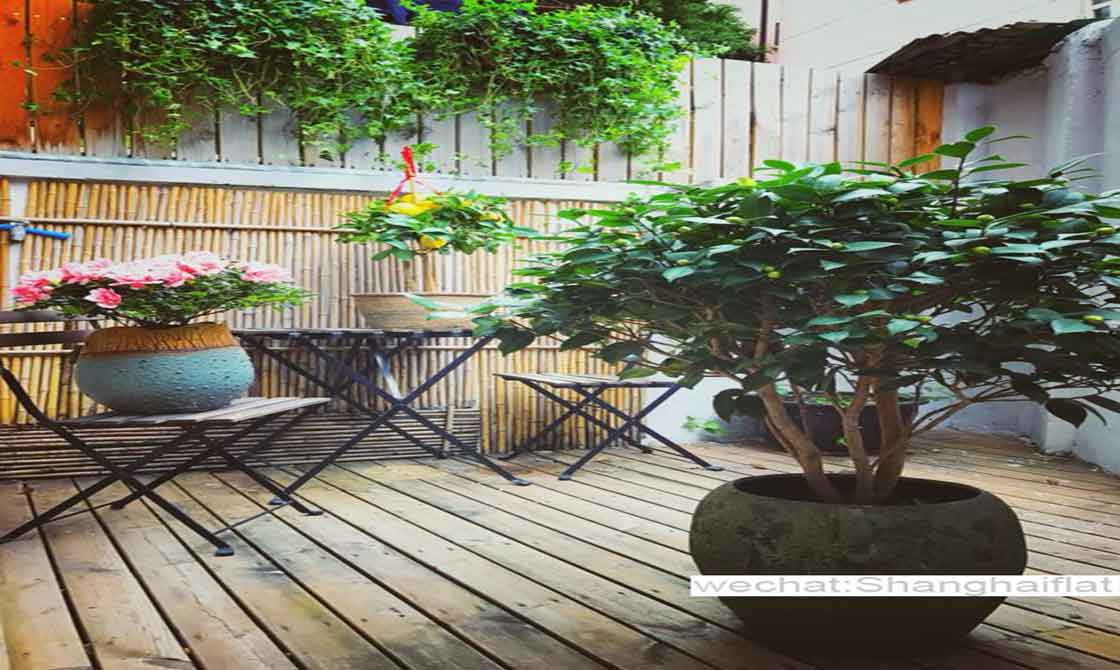 Beautiful 1br garden apartment near Shanghai library/Former French Concession kangping Rd